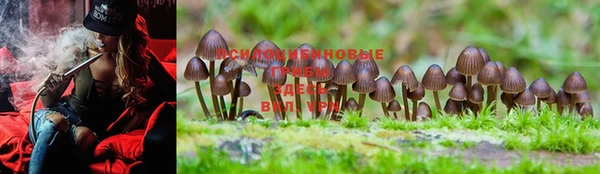 индика Верхнеуральск