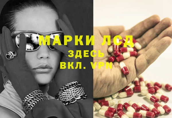 спиды Верея