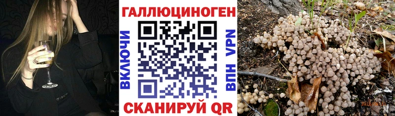 Галлюциногенные грибы мицелий  Заозёрск 